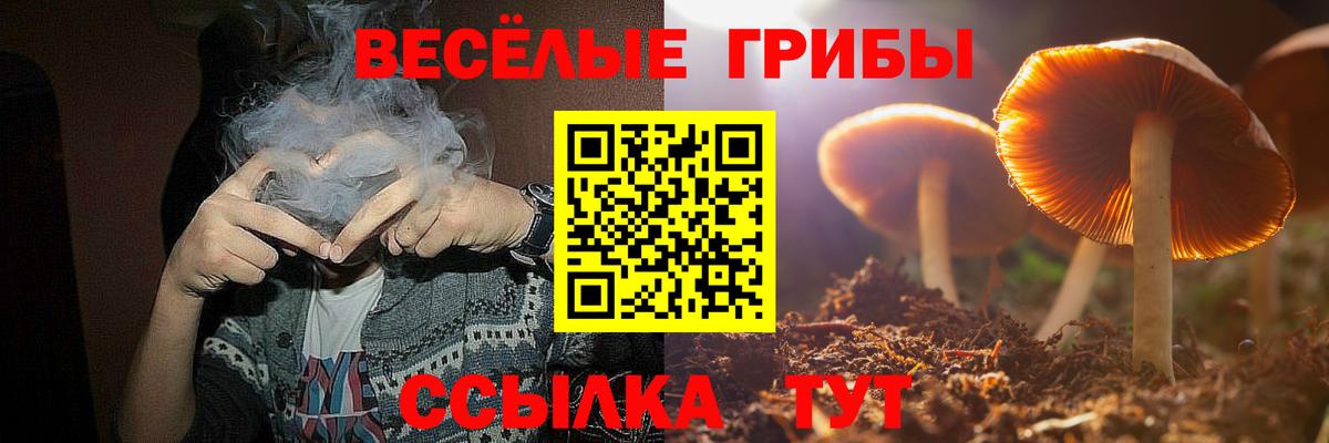 Псилоцибиновые грибы мухоморы  Псилоцибиновые грибы Psilocybe  Вход с VPN  что такое наркотик  Холмск 